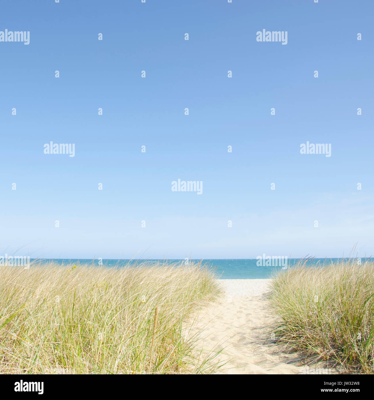 Nantucket hi-res stock photography and images - Alamy Nantucket hi-res stock photography and images - Alamy
