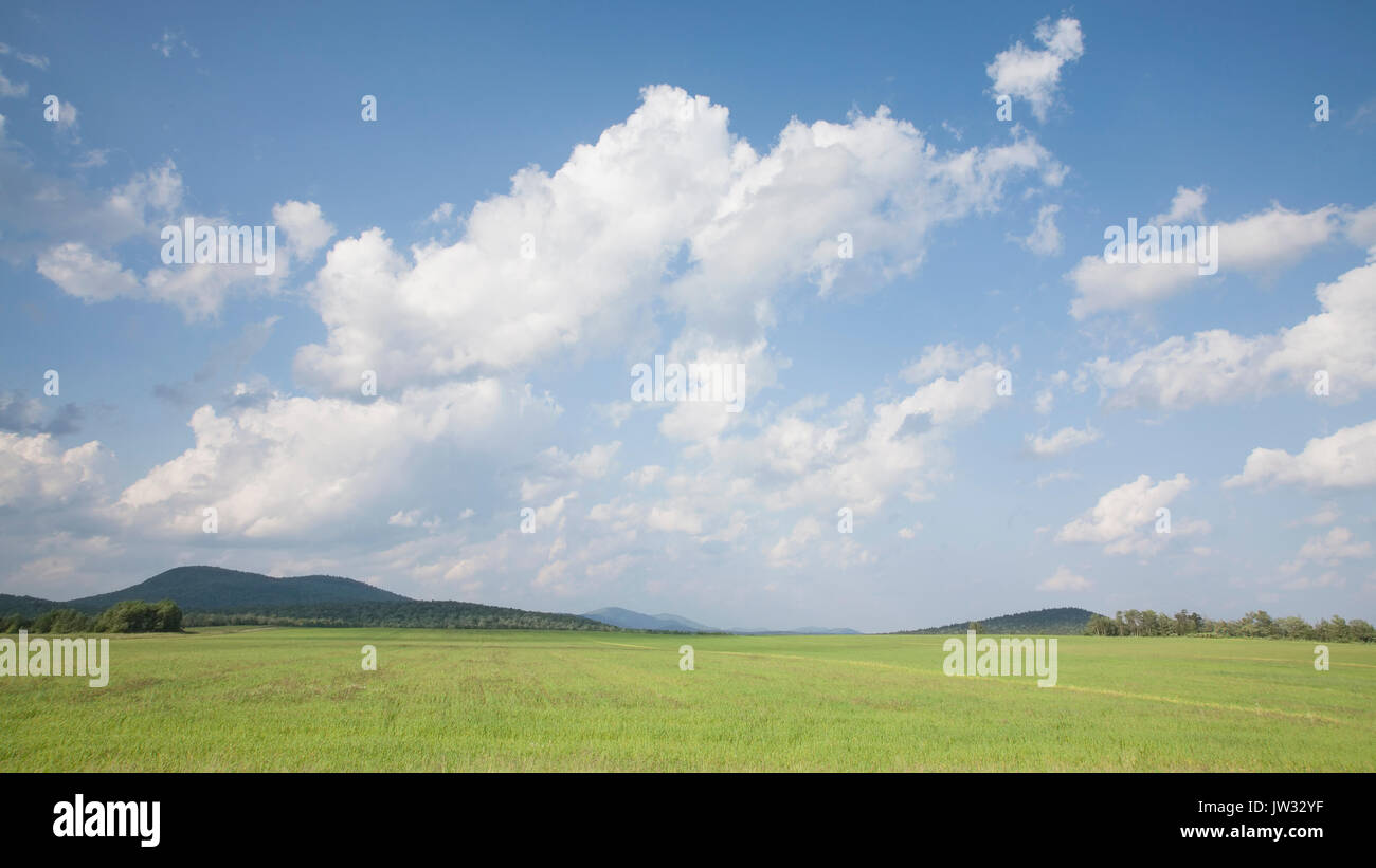 USA, New York State, Gabriels, Hay field in Northern Adirondacks Stock Photo