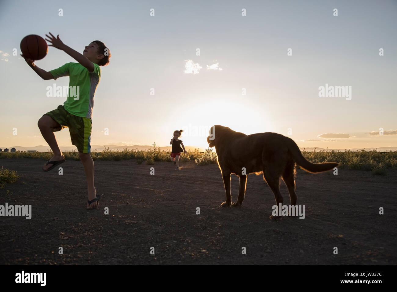 USA, Colorado, Boy (8-9) playing ball next to chocolate Labrador and little girl (4-5) running in background Stock Photo