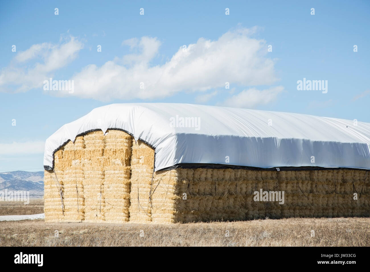 USA, Colorado, Stack of hay covered with tarpaulin Stock Photo
