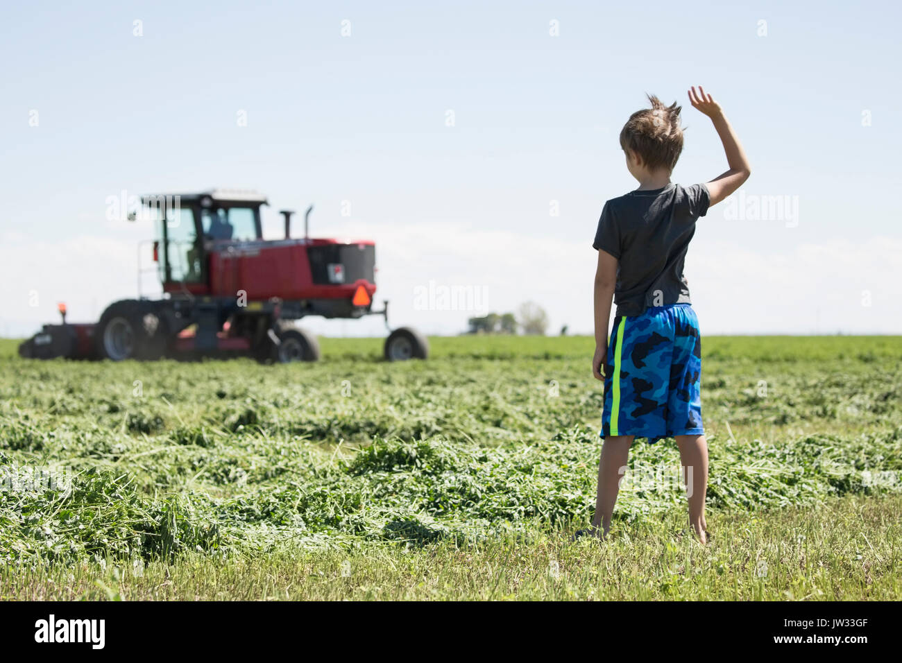 USA, Colorado, Rear view of boy (8-9) standing in field and waving to father driving combine harvester in field Stock Photo