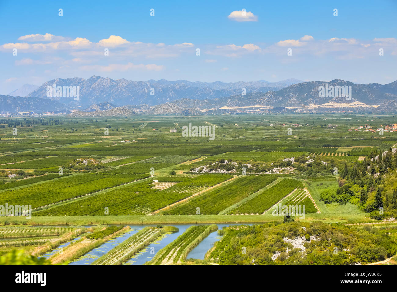 A view of the irrigated agricultural orchards and fields in the delta of the river Neretva in Opuzen, Croatia. Stock Photo