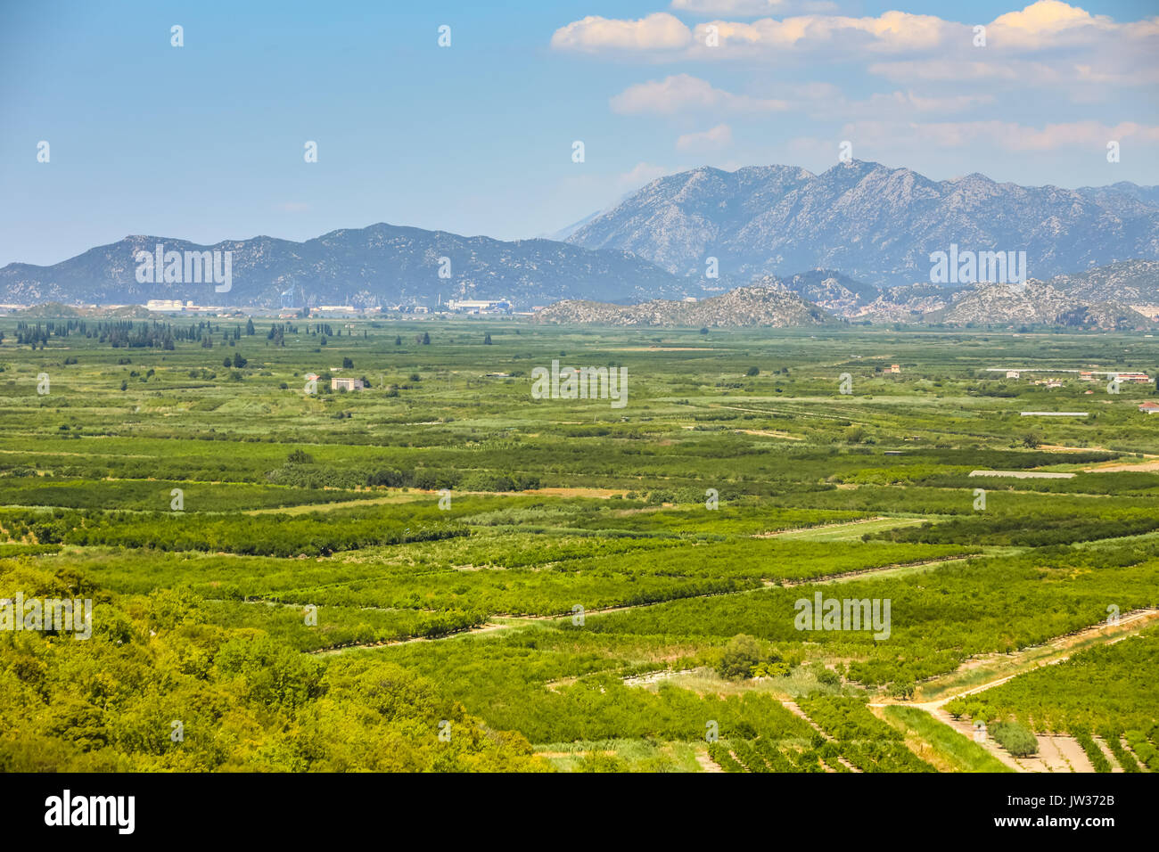 A view of the agricultural orchards and fields in the delta of the river Neretva in Opuzen, Croatia. Stock Photo