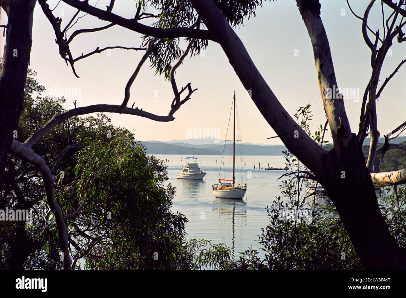 Peaceful moorings in Tilligerry Creek, Lemon Tree Passage, Port