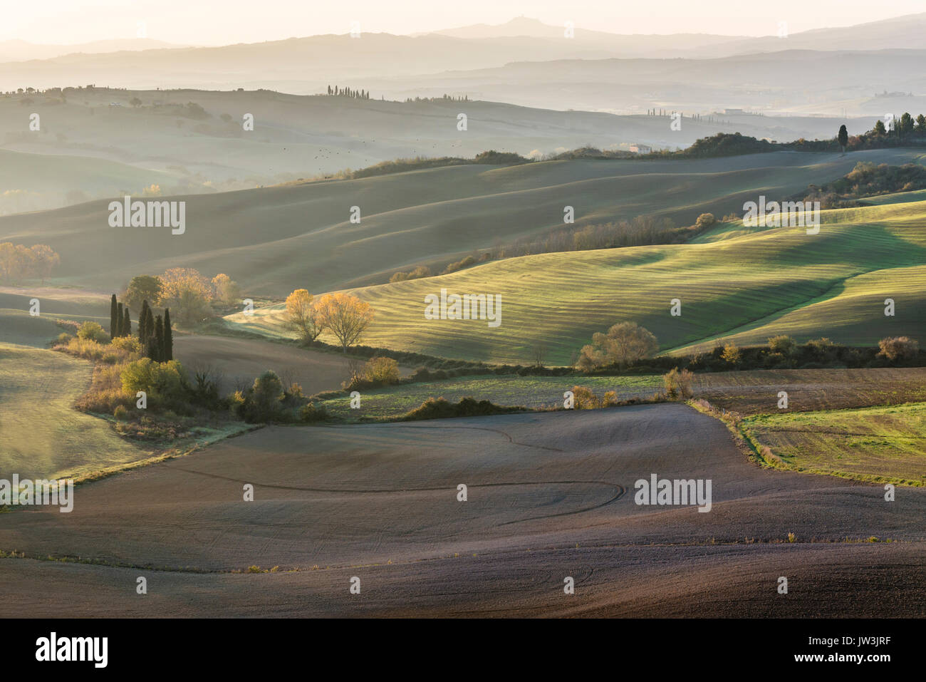 Italy, Tuscany, San Quirico D'orcia, Rolling landscape with autumn trees and plants Stock Photo