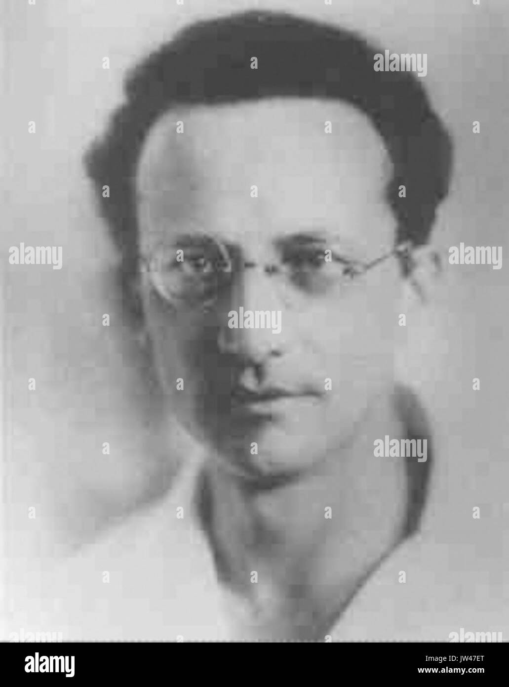 Erwin Schrodinger2 Stock Photo