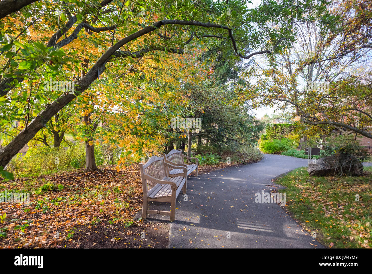 two benches by pathway in park Stock Photo - Alamy