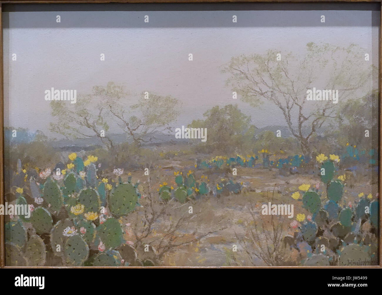 Cacti In Bloom San Antonio Texas By Julian Onderdonk 1921 Pastel On Board Harry Ransom Center University Of Texas At Austin Dsc08489 Stock Photo Alamy