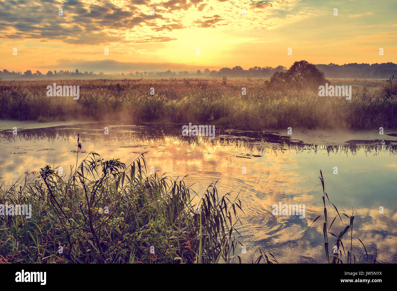 Photo with a sunny summer sunrise over the river Stock Photo - Alamy