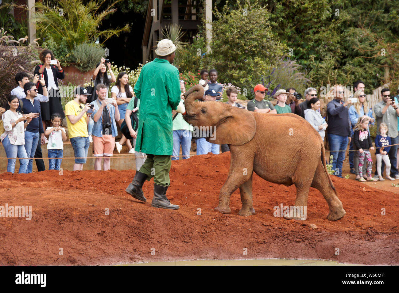 Sheldrick wildlife orphanage hi-res stock photography and images - Alamy