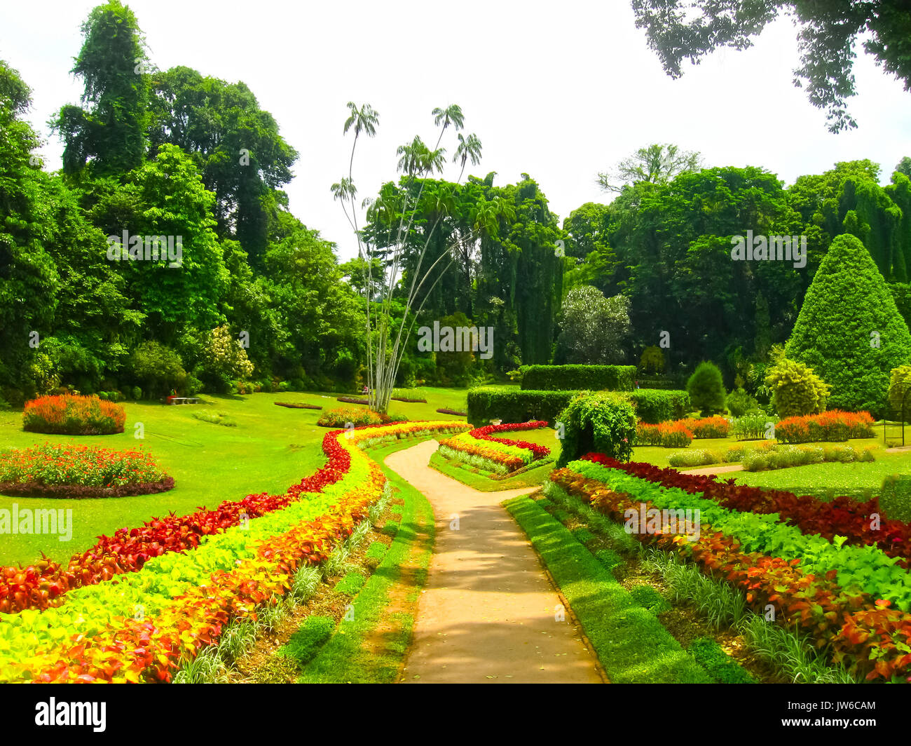 Peradeniya Botanical Garden Botanical Garden Peradeniya Kandyroyal