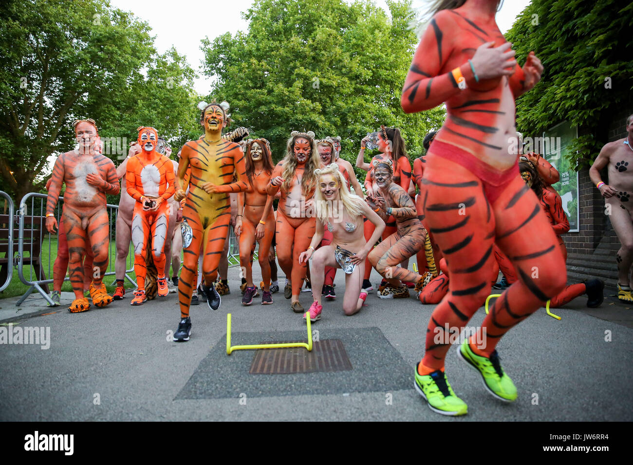 London Zoo. 10 Aug 2017 - Streakers at ZSL London Zoo. **CONTAINS FULL