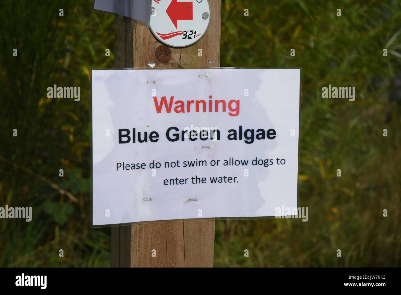 Photo inspiration: Blue Green Algae Warning Sign Signs Hi Res Stock Photography Photo Inspiration