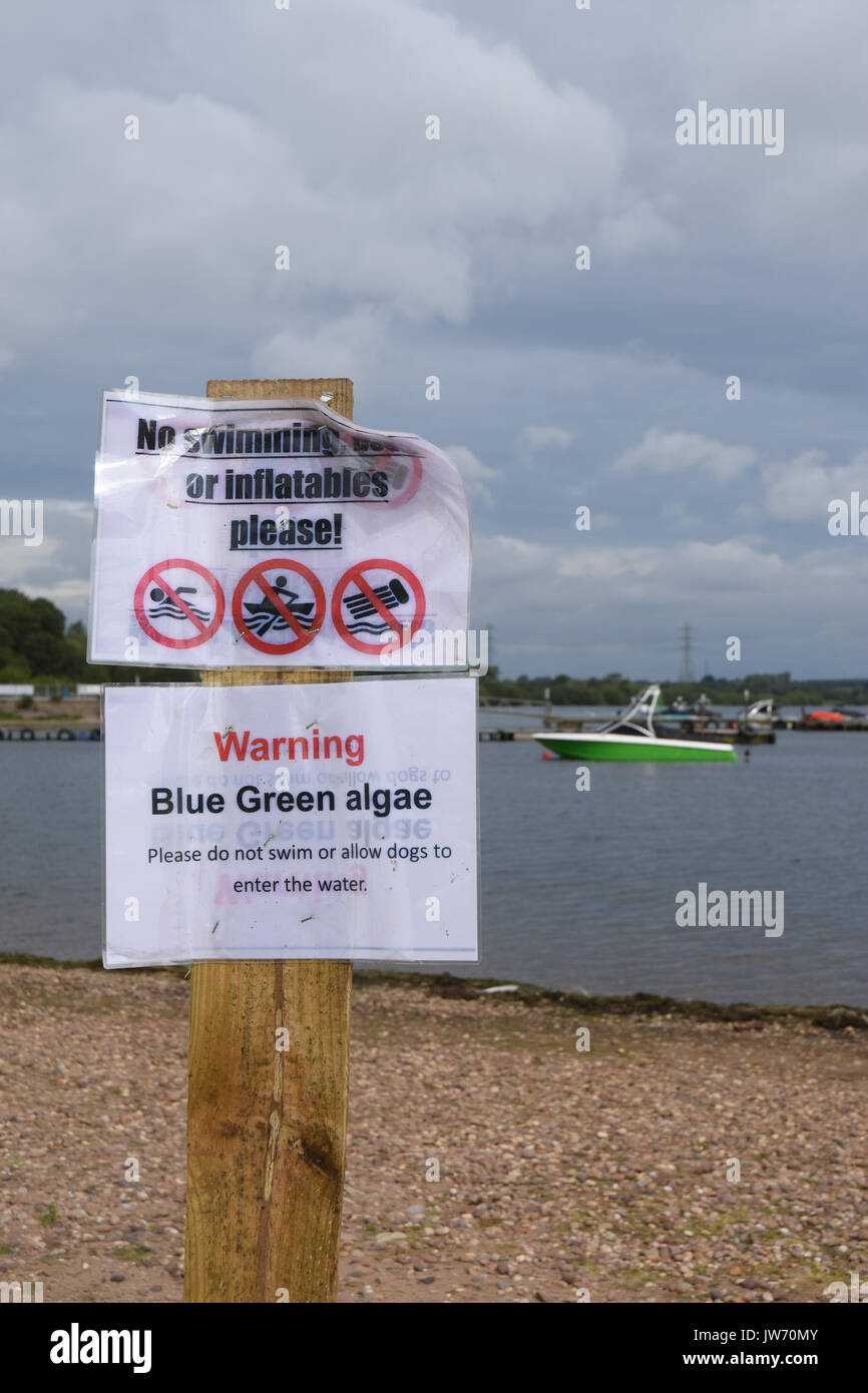 Blue Green Algae Warning Sign Signs High Resolution Stock Photography ...