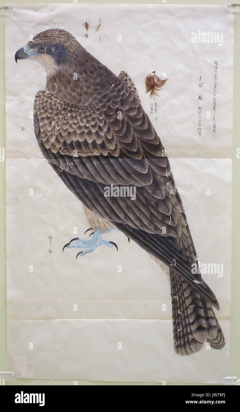 1877 1914 High Resolution Stock Photography And Images Alamy