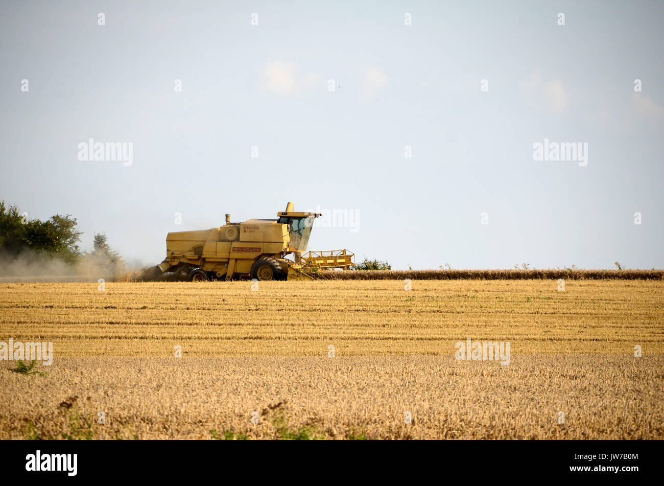 Klinting, Denmark - August 7, 2017: Harvest work with combine harvester in a wheat field. Stock Photo