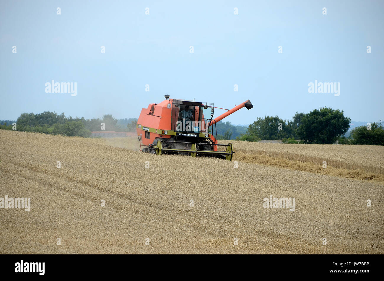 Klinting, Denmark - August 8, 2017: Harvest work with combine harvester in a wheat field. Stock Photo
