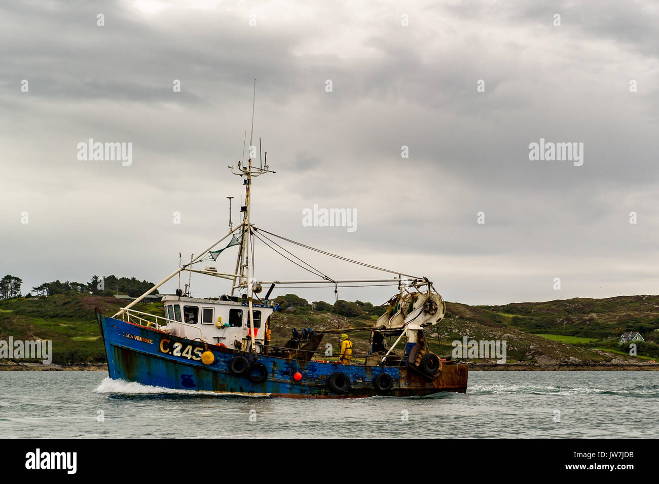 Irish Twin Rigger fishing trawler C.245 Sea Venture sails into Schull Harbour, West Cork, Ireland, with a load of fish to be unloaded. Stock Photo