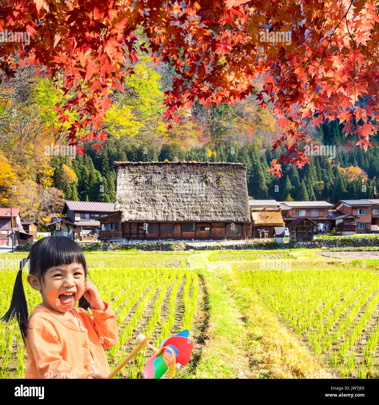 My Image 11