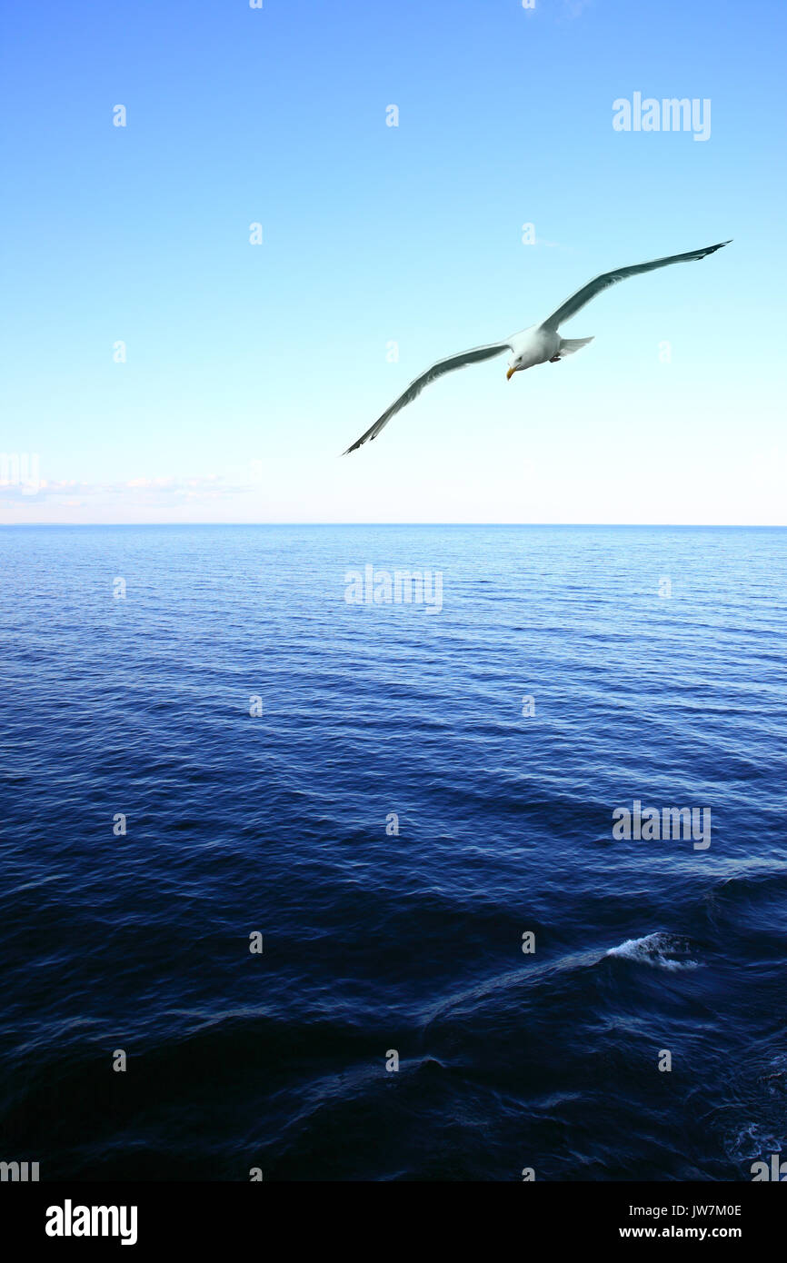 Seascape composition hi-res stock photography and images - Alamy