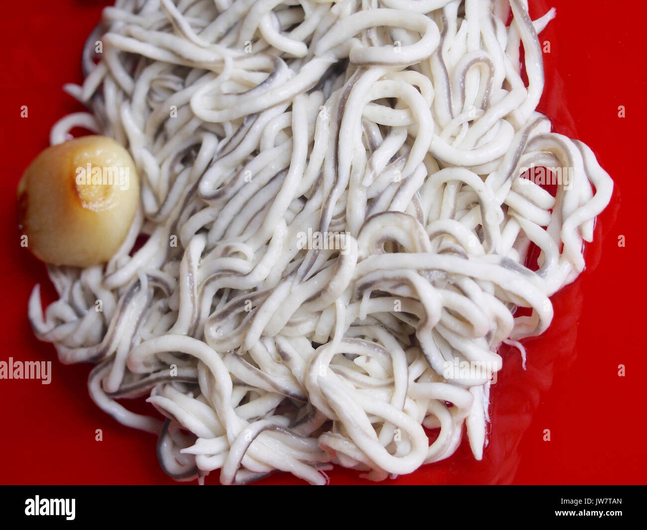 Baby eels with garlic on red plate Stock Photo Alamy