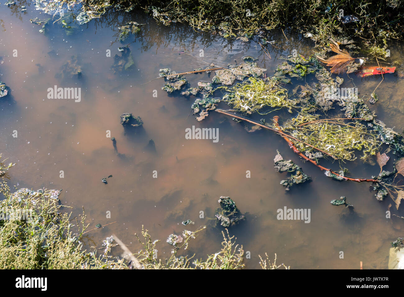 Waste water environmental pollution Nature. Dirty and bubbles water   pollution  water Stock Photo - Alamy