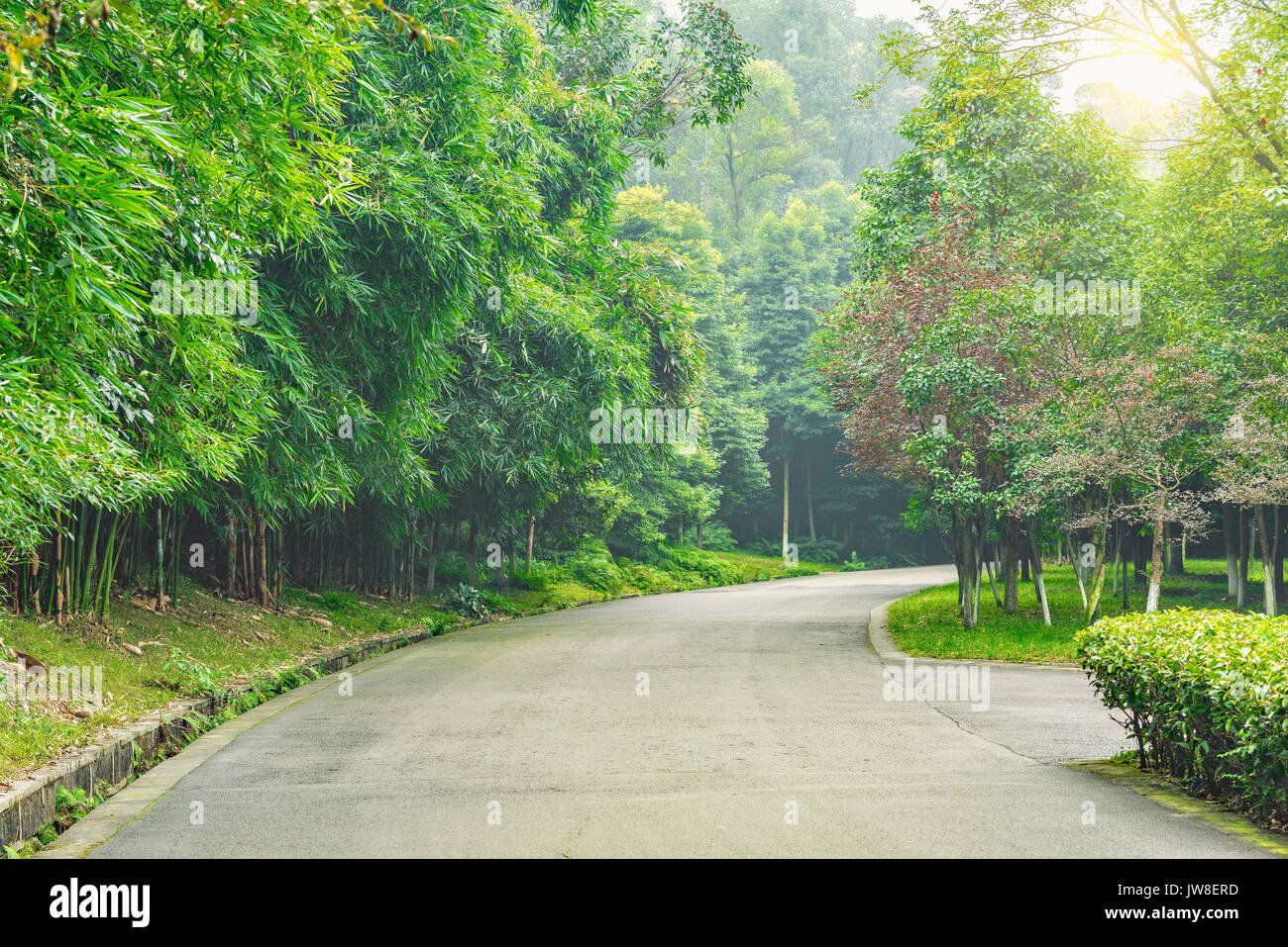 View of the asphalt road in the park at day time Stock Photo - Alamy