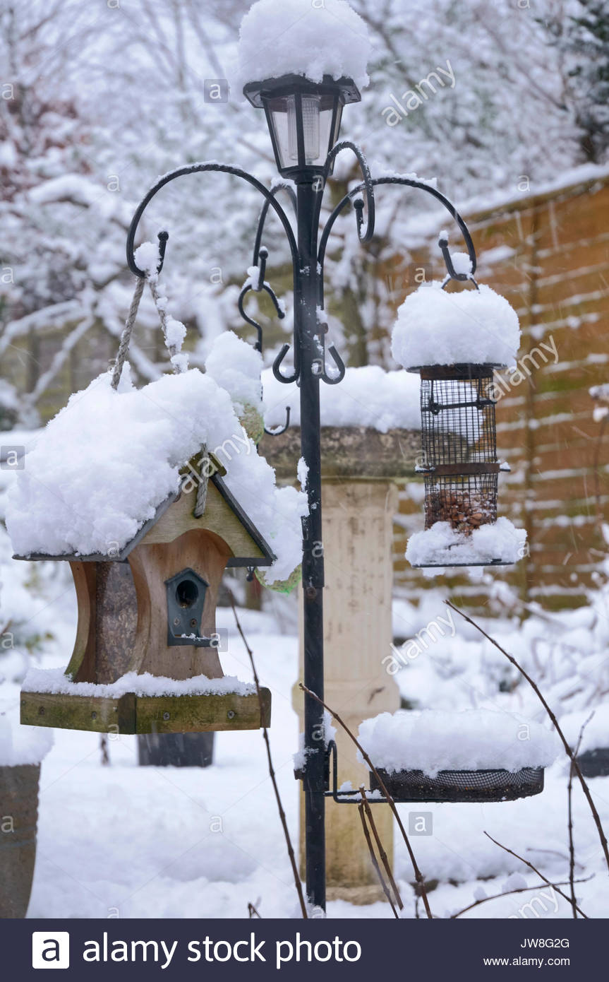 Bird Feeders Hanging On A Garden Ornament Covered In Snow In The