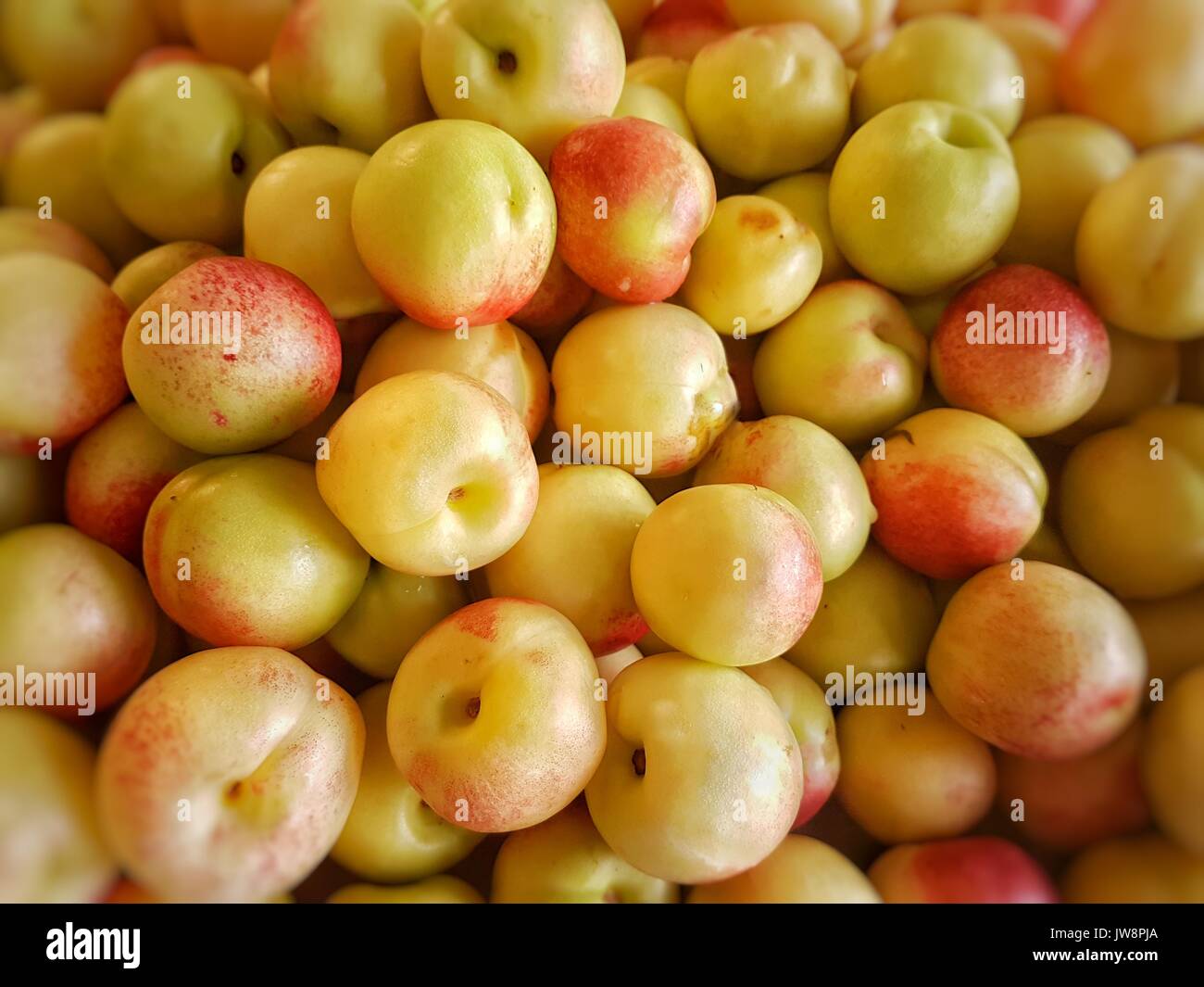 pile of many delicious yellow and red plums Stock Photo Alamy