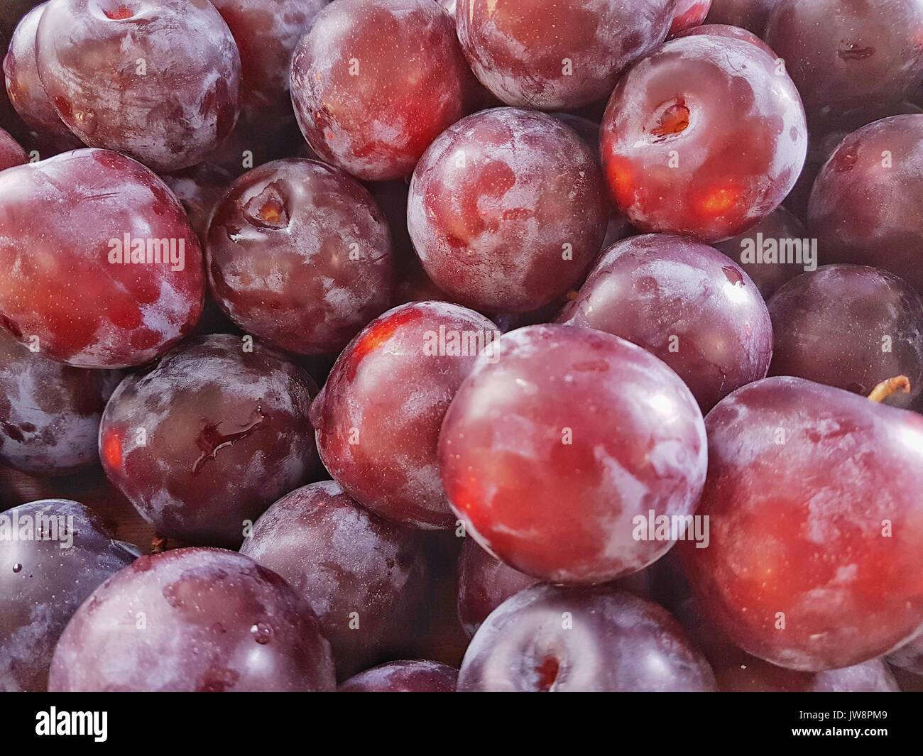 Tile plum hires stock photography and images Alamy