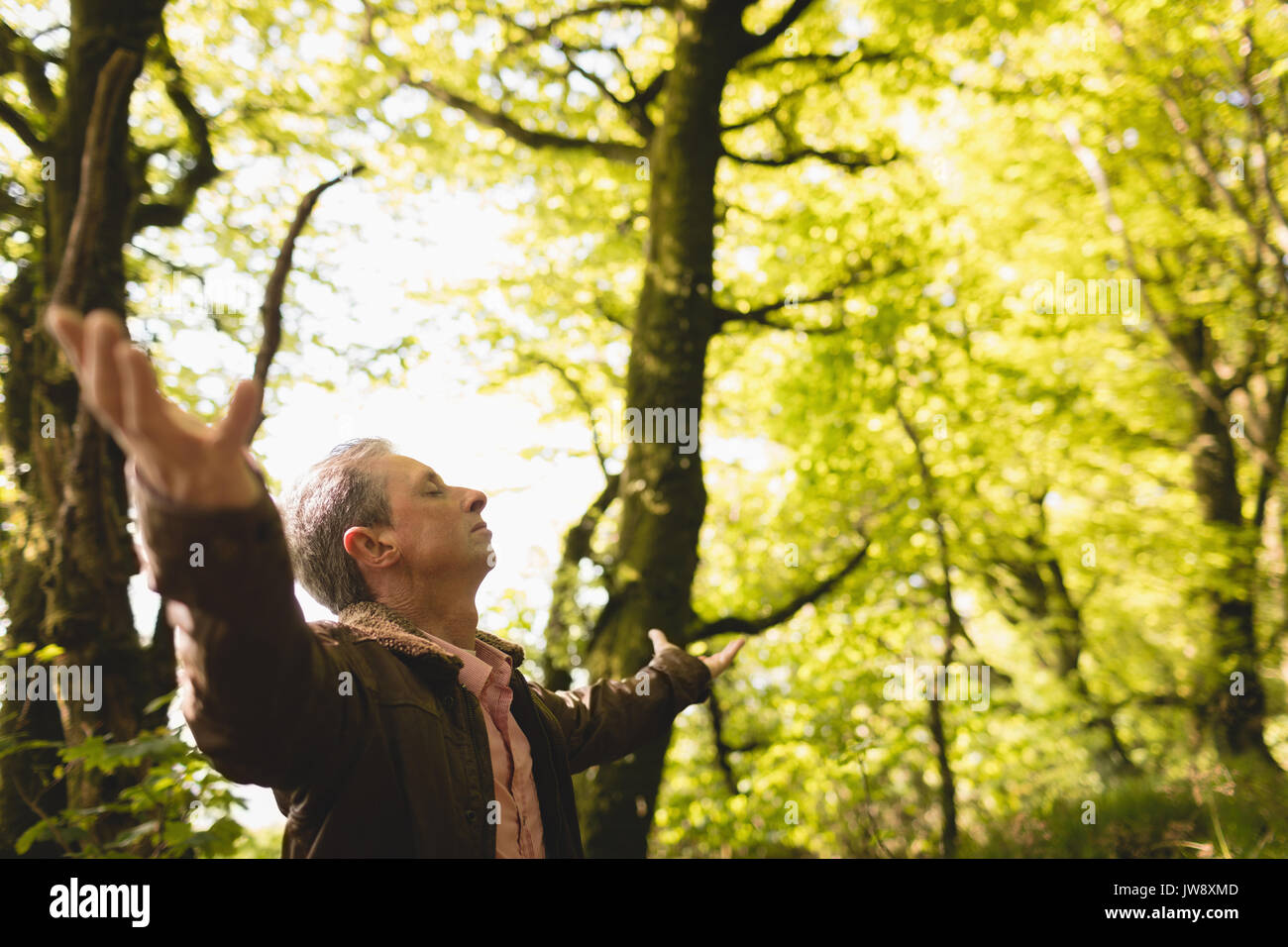 Blissful man standing with arms outstretched in forest on a sunny day Stock Photo