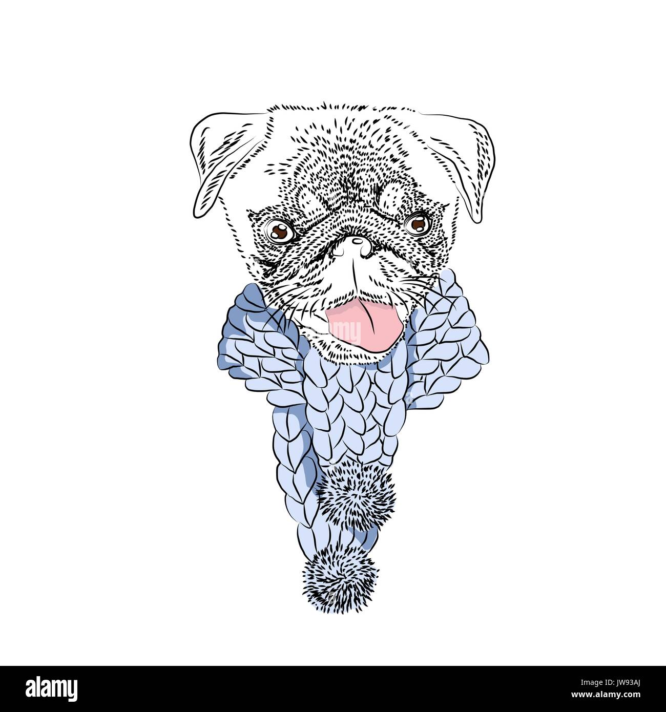 Dog with knitted scarf. Cute pug portrait. Vector illustration Stock ...