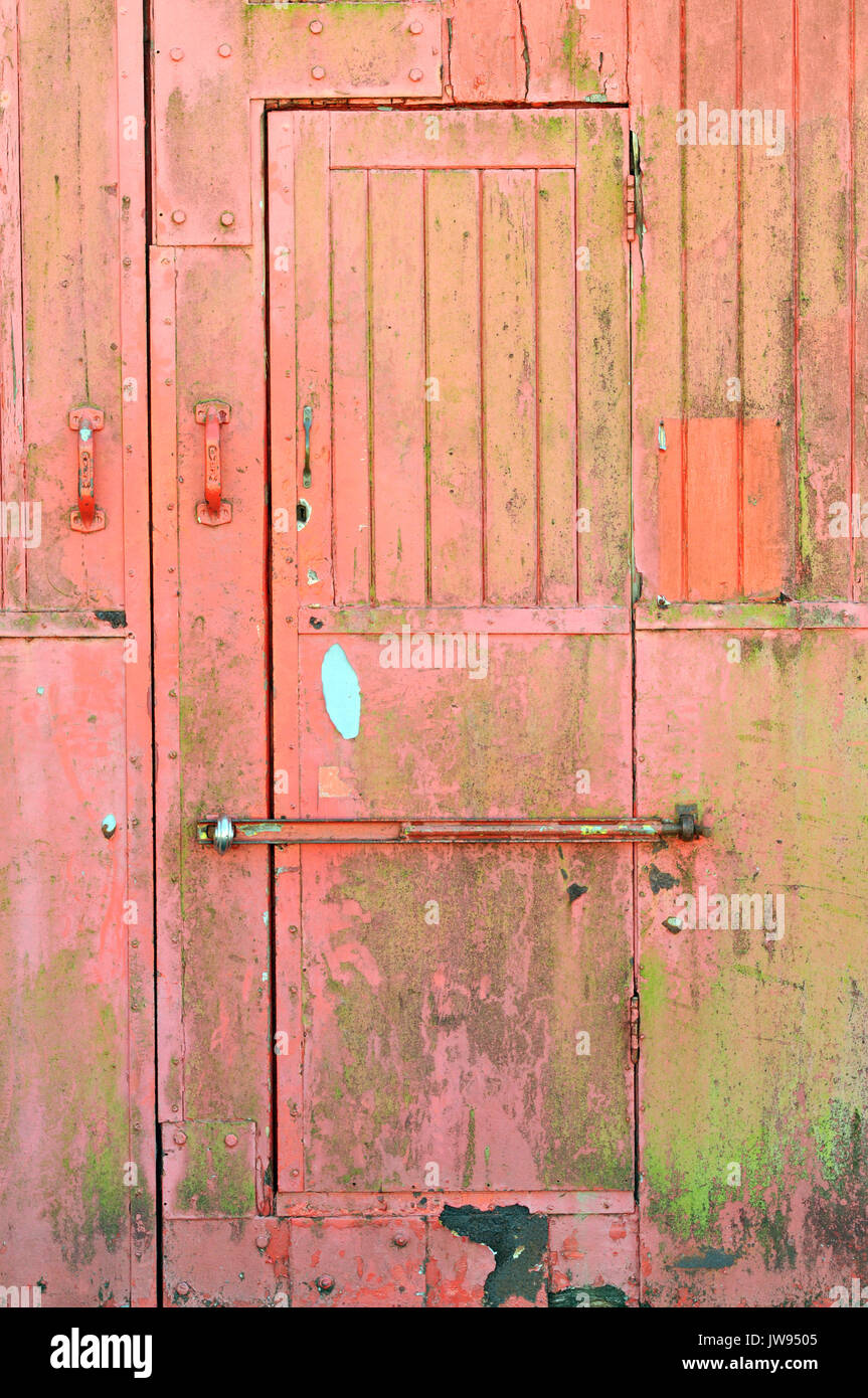 an old weather worn and beaten wooden planked door with bolt across the front. shabby chic design for interiors and peeling flaking red or pink paint. Stock Photo