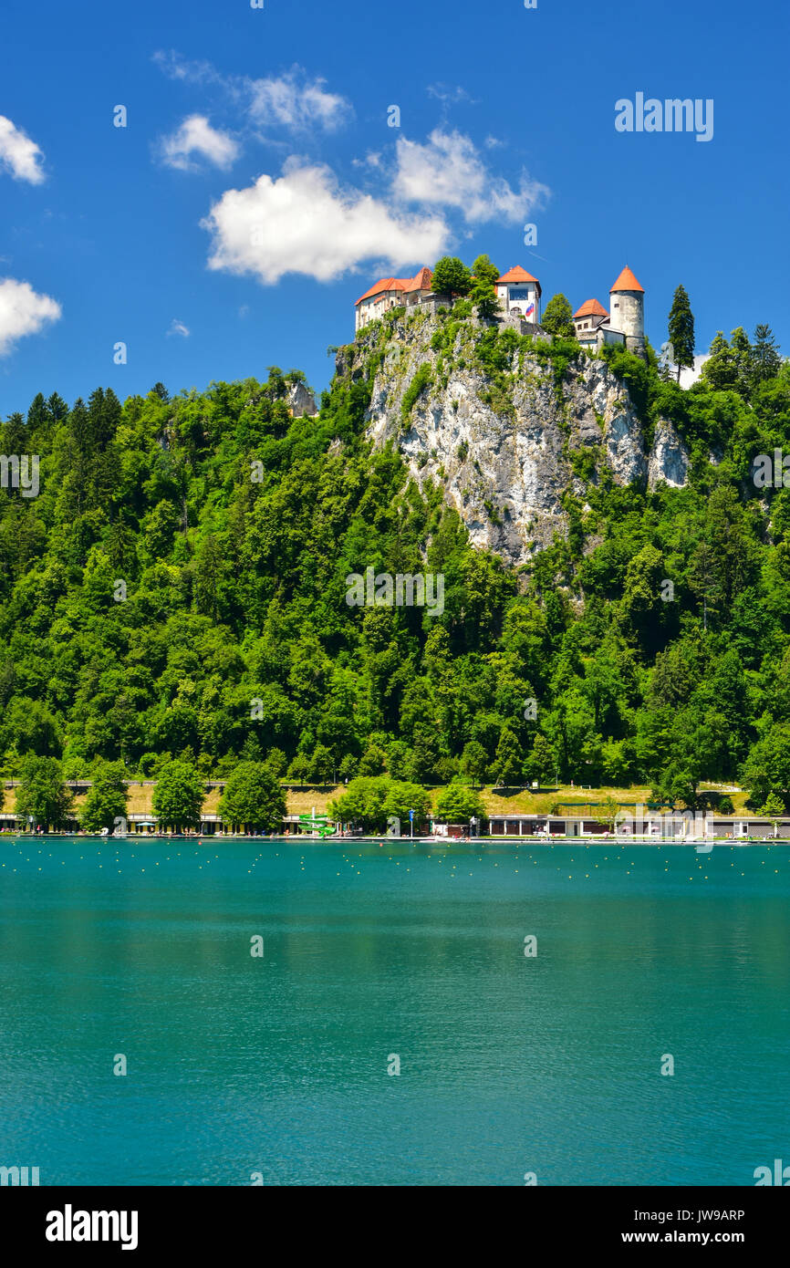 lake-bled-in-summer-slovenia-stock-photo-alamy