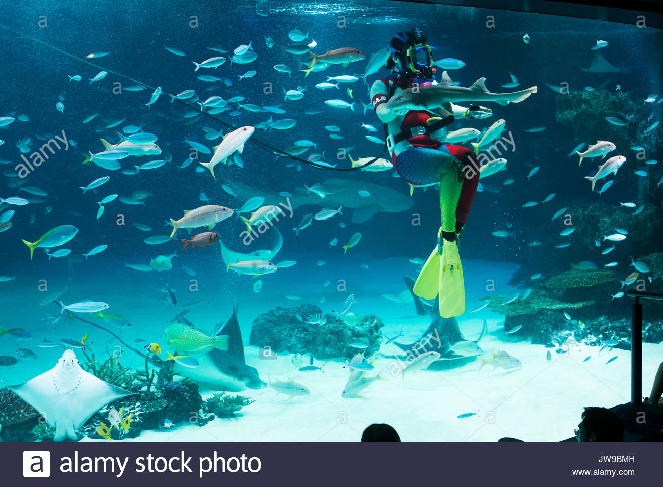 9100 Koleksi Aquarium Design Japan Terbaik