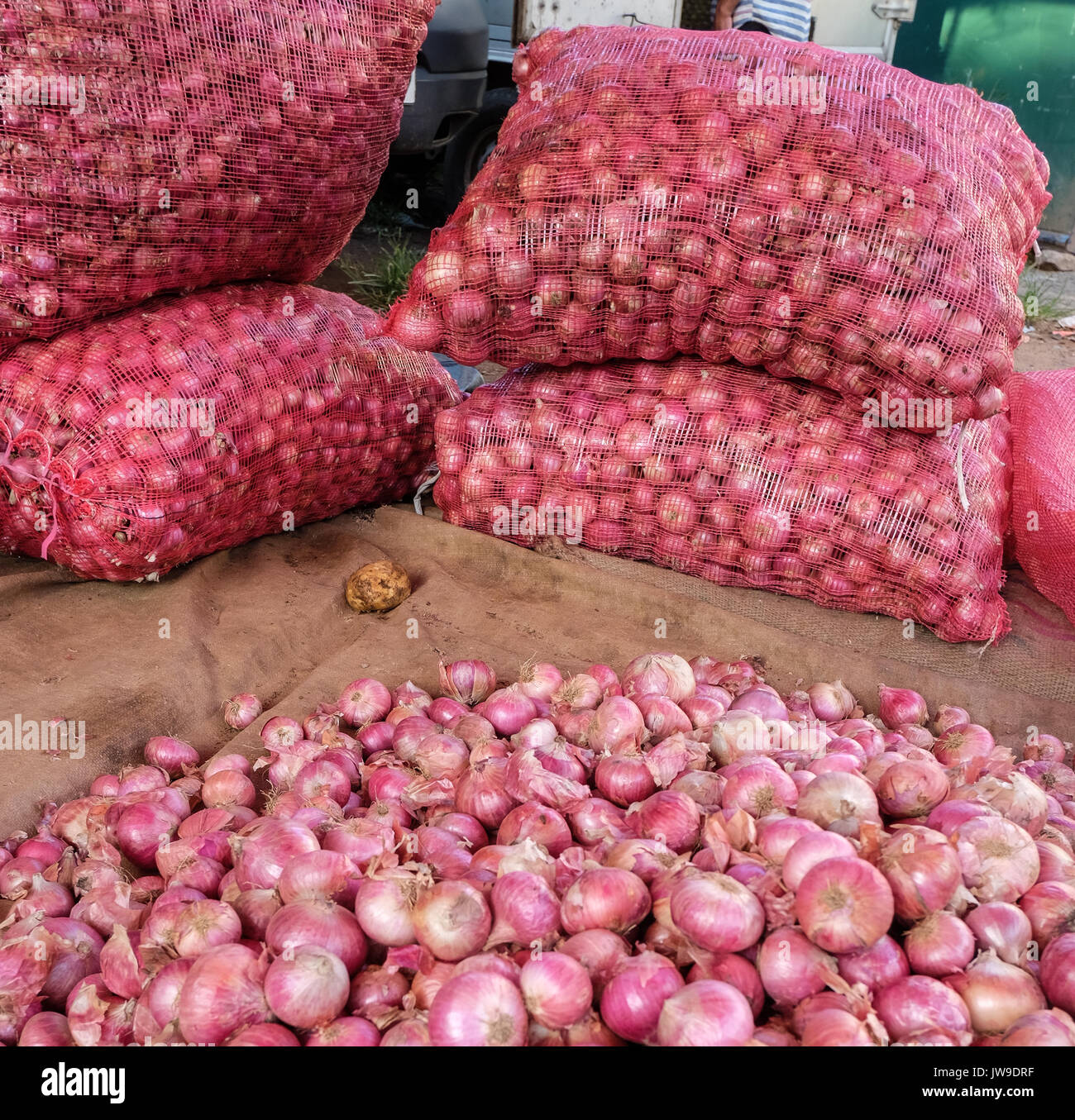 Red onion for sale at rural market in Colombo, Sri Lanka Stock Photo