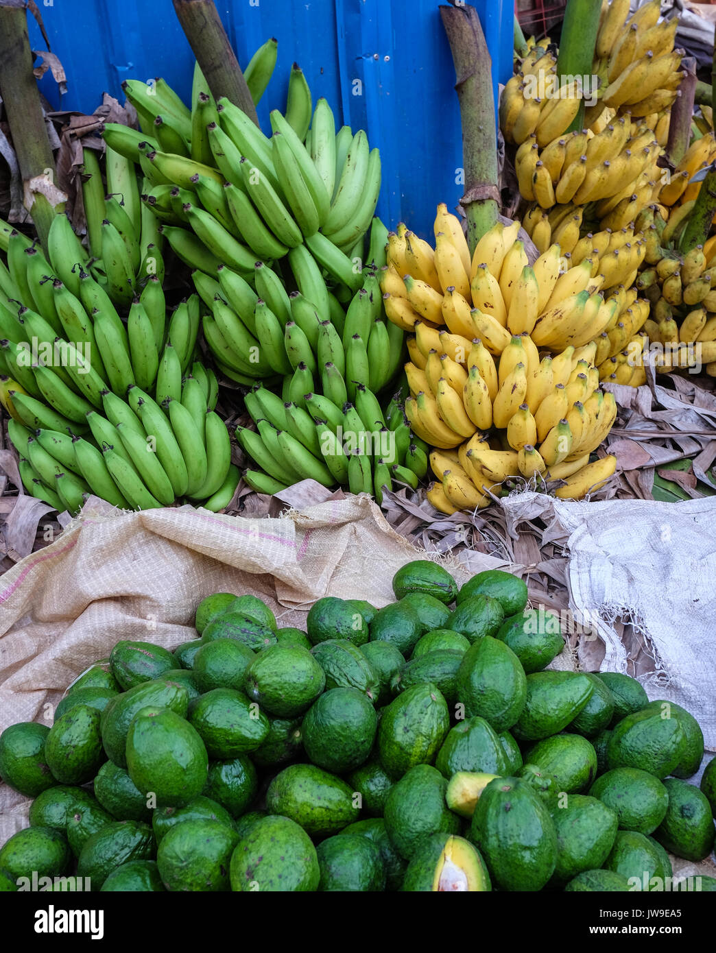 Fresh fruits for retail sale at local fruit market in Colombo, Sri