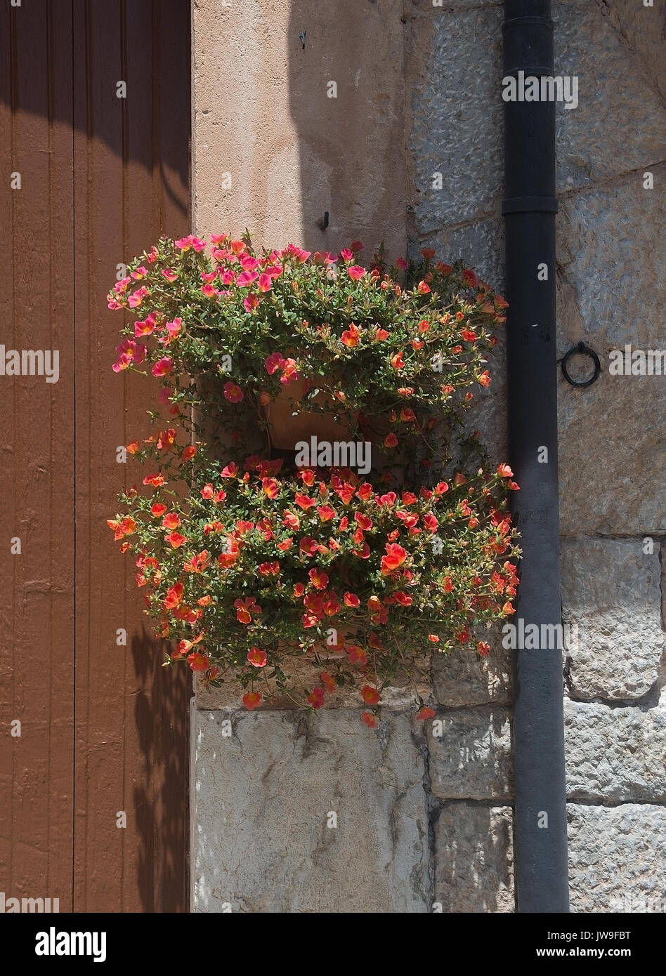 VALLDEMOSSA, BALEARIC ISLANDS, SPAIN - JULY 13, 2017: Flower details in Valldemossa town on a sunny day on July 13, 2017 in Palma de Mallorca, Baleari Stock Photo