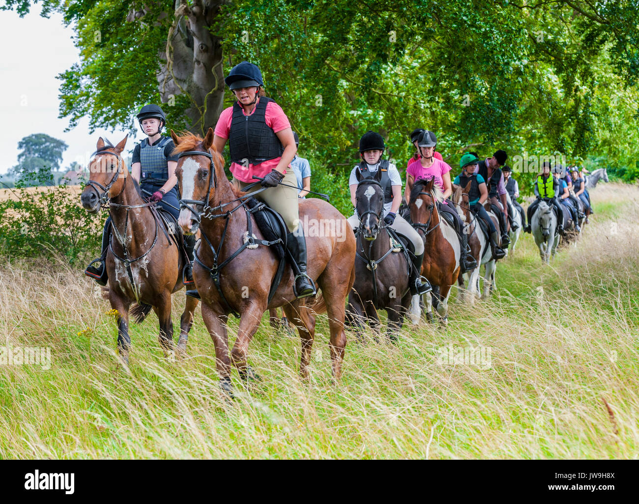 Animal female people woman ponies pony horse rider riding hi-res stock ...