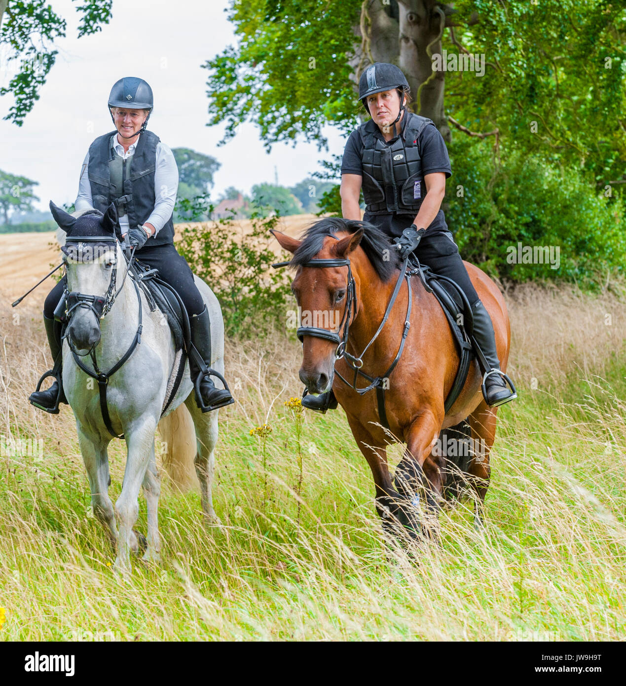 Two ladies out riding horses on a summers day Stock Photo