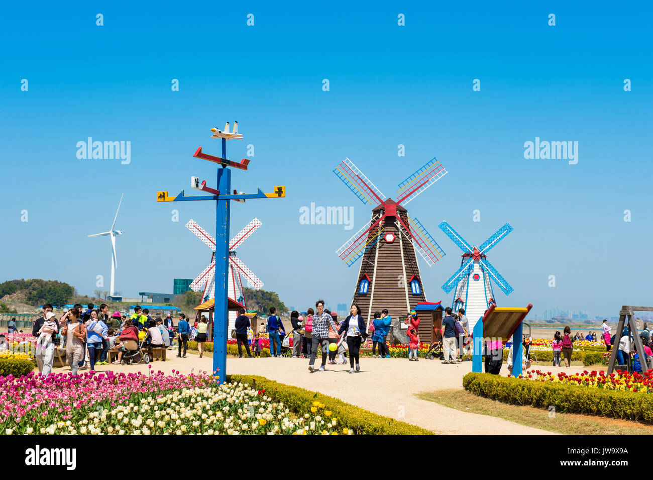 ANSAN,KOREA APRIL 25 Daebudo Tulips Festival is the largest tulips