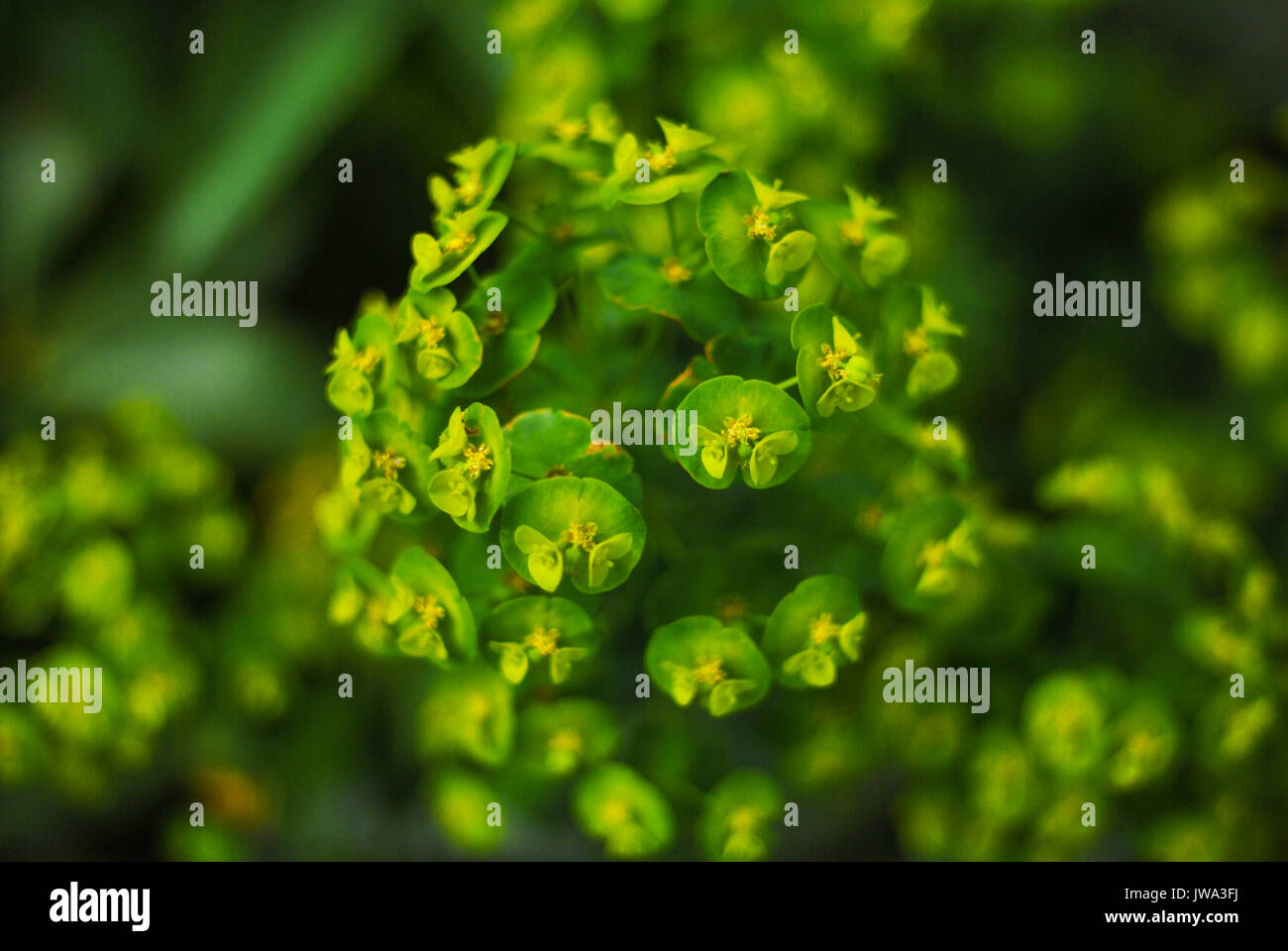 Richmond Stock Photo