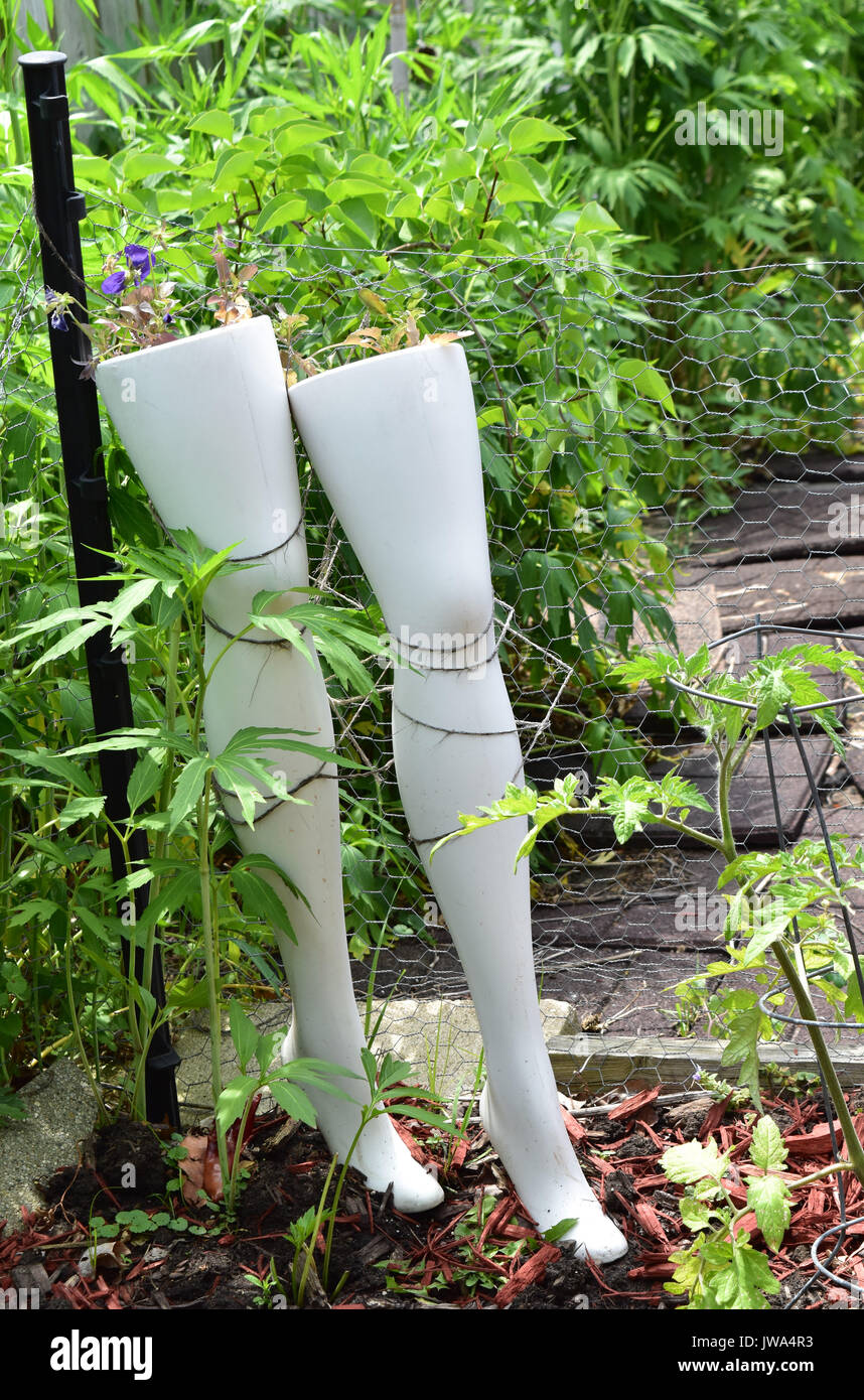 Eccentric garden planter Stock Photo Alamy