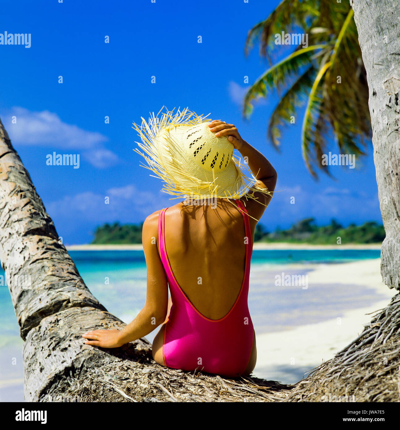 pink palm tree swimsuit