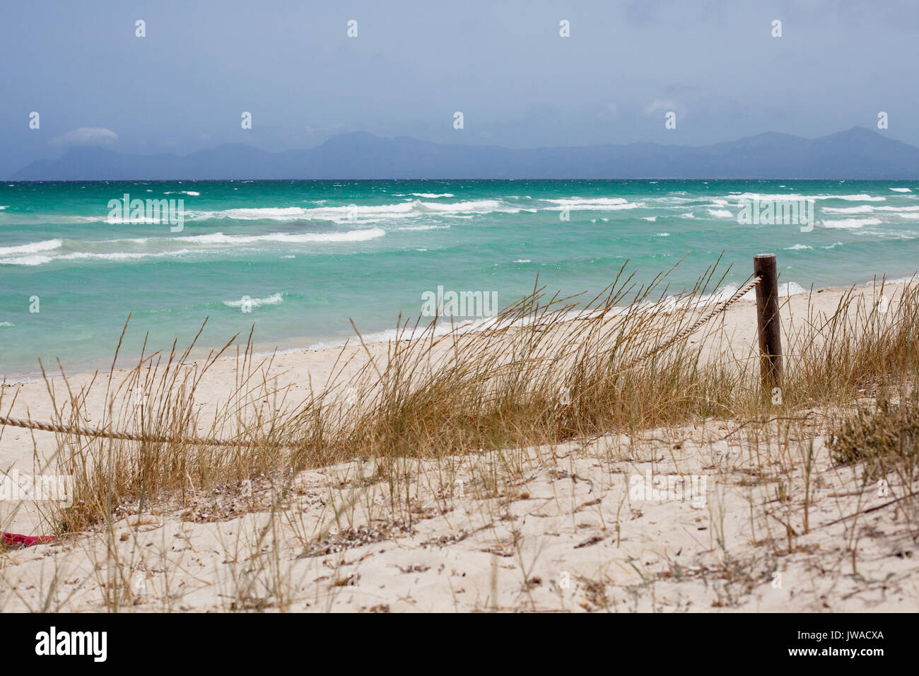 Europe, Spain, Balearen, Mallorca, Can Picafort - A windy day in the dunes of North Mallorca Stock Photo