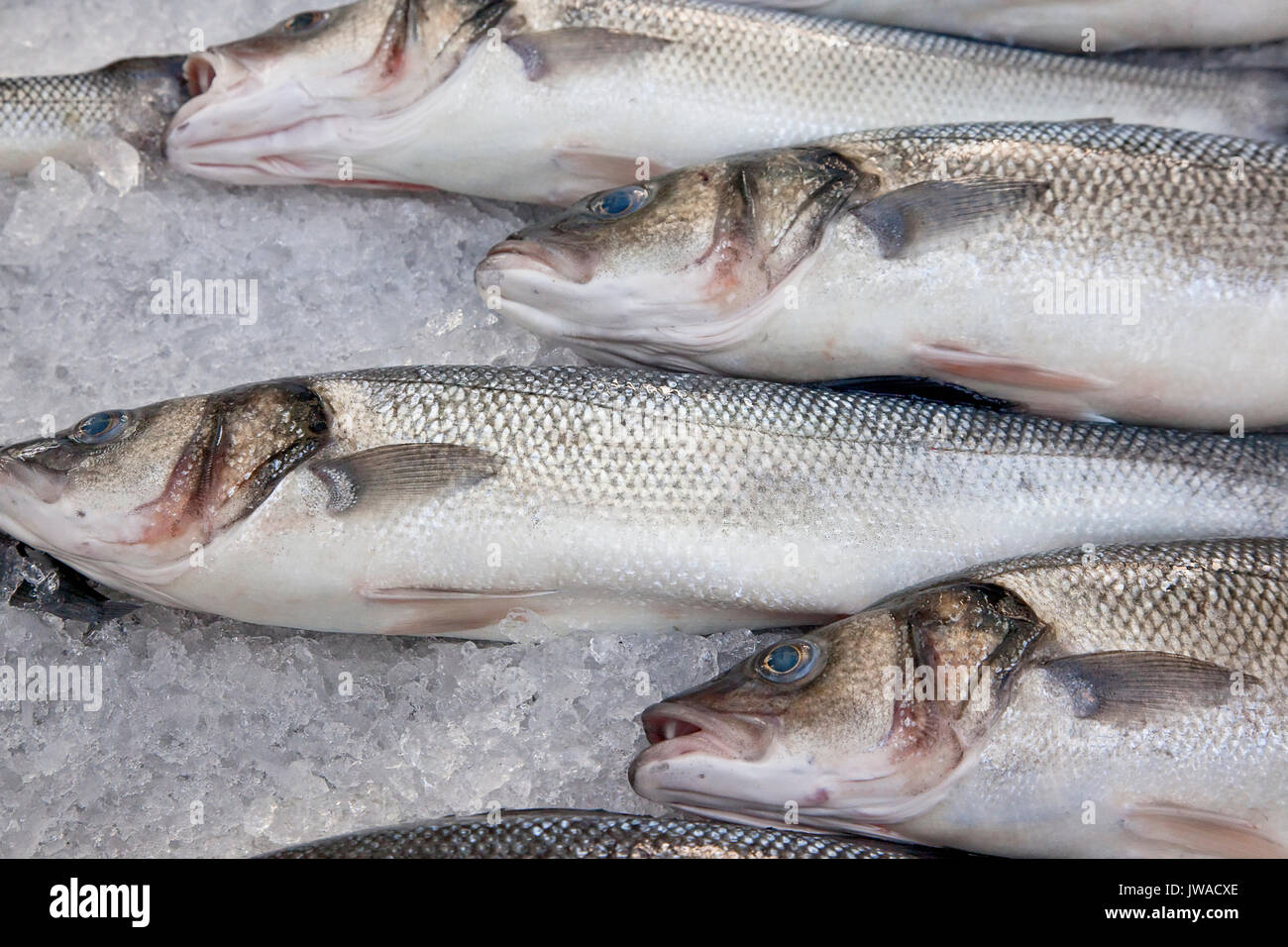 Ireland, North, Belfast, St Market interior, Display of fresh