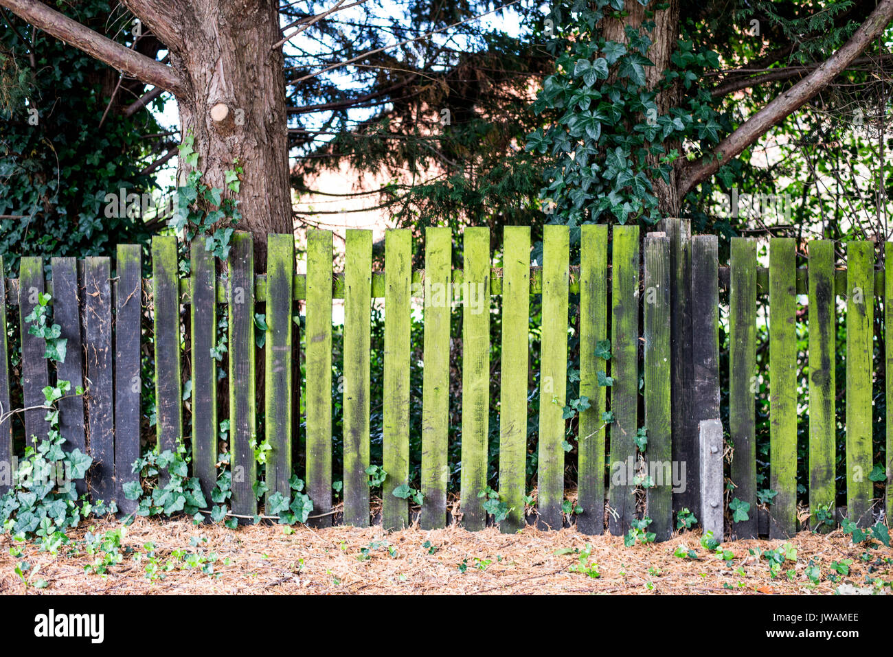 Old Green Stained Weathered Wooden Fence Stock Photo - Alamy