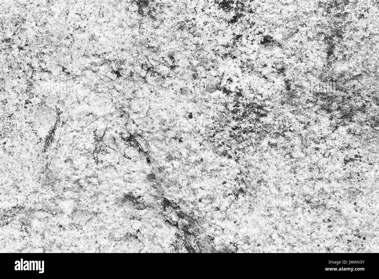 White stone surface as background. Abstract white texture Stock Photo ...