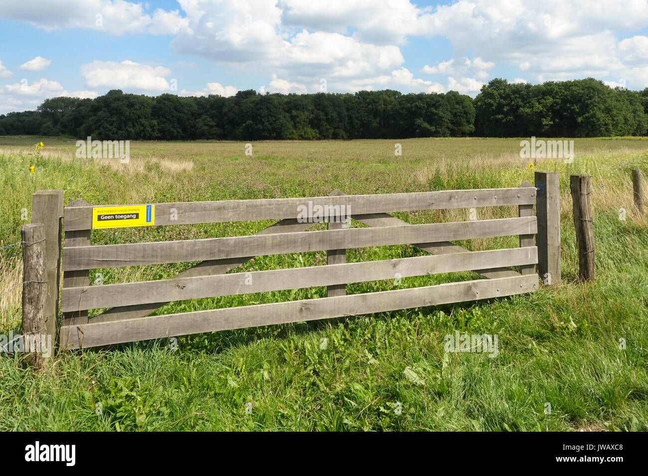 Closed of protected meadow fields, resting areas for wild animals, Natuurmonumenten, Schinveld, Limburg, Netherlands Stock Photo