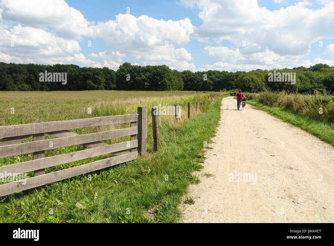 Closed of protected meadow fields, resting areas for wild animals, Natuurmonumenten, Schinveld, Limburg, Netherlands Stock Photo